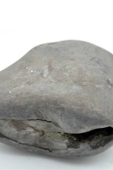 Nepal Gandaki River Original Shaligram Shila Idol Shri Vishnu For Tulsi Puja Stone Fossil In Size (Max: 7 CM) ID-222