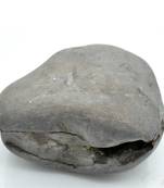 Nepal Gandaki River Original Shaligram Shila Idol Shri Vishnu For Tulsi Puja Stone Fossil In Size (Max: 7 CM) ID-222