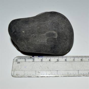 Nepal Gandaki River Original Shaligram Shila Idol Shri Vishnu For Tulsi Puja Stone Fossil In Size (Max: 7 CM) ID-223 4