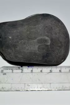 Nepal Gandaki River Original Shaligram Shila Idol Shri Vishnu For Tulsi Puja Stone Fossil In Size (Max: 7 CM) ID-223