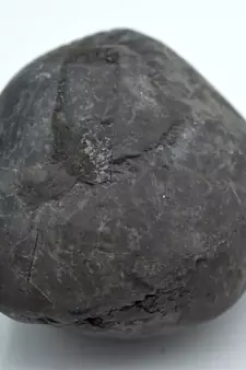 Nepal Gandaki River Original Shaligram Shila Idol Shri Vishnu For Tulsi Puja Stone Fossil In Size (Max: 7 CM) ID-225