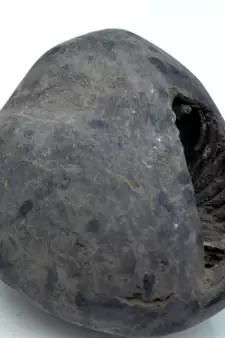 Nepal Gandaki River Original Shaligram Shila Idol Shri Vishnu For Tulsi Puja Stone Fossil In Size (Max: 7 CM) ID-226