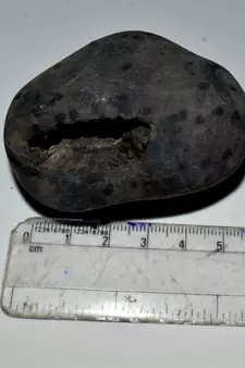 Nepal Gandaki River Original Shaligram Shila Idol Shri Vishnu For Tulsi Puja Stone Fossil In Size (Max: 7 CM) ID-226