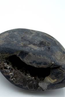 Nepal Gandaki River Original Shaligram Shila Idol Shri Vishnu For Tulsi Puja Stone Fossil In Size (Max: 7 CM) ID-227