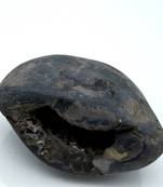 Nepal Gandaki River Original Shaligram Shila Idol Shri Vishnu For Tulsi Puja Stone Fossil In Size (Max: 7 CM) ID-227