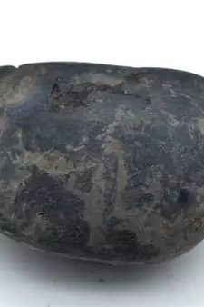 Nepal Gandaki River Original Shaligram Shila Idol Shri Vishnu For Tulsi Puja Stone Fossil In Size (Max: 7 CM) ID-227