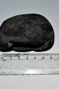 Nepal Gandaki River Original Shaligram Shila Idol Shri Vishnu For Tulsi Puja Stone Fossil In Size (Max: 7 CM) ID-227