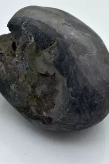 Nepal Gandaki River Original Shaligram Shila Idol Shri Vishnu For Tulsi Puja Stone Fossil In Size (Max: 7 CM) ID-230