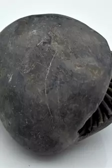 Nepal Gandaki River Original Shaligram Shila Idol Shri Vishnu For Tulsi Puja Stone Fossil In Size (Max: 7 CM) ID-230