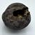 Nepal Gandaki River Original Shaligram Shila Idol Shri Vishnu For Tulsi Puja Stone Fossil In Size (Max: 7 CM) ID-233