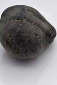 Nepal Gandaki River Original Shaligram Shila Idol Shri Vishnu For Tulsi Puja Stone Fossil In Size (Max: 7 CM) ID-236