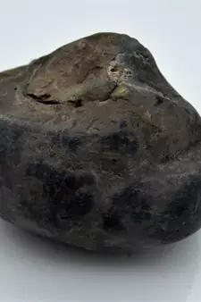 Nepal Gandaki River Original Shaligram Shila Idol Shri Vishnu For Tulsi Puja Stone Fossil In Size (Max: 7 CM) ID-237