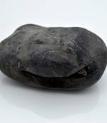 Nepal Gandaki River Original Shaligram Shila Idol Shri Vishnu For Tulsi Puja Stone Fossil In Size (Max: 7 CM) ID-238