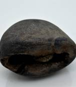 Nepal Gandaki River Original Shaligram Shila Idol Shri Vishnu For Tulsi Puja Stone Fossil In Size (Max: 7 CM) ID-242