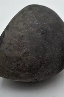 Nepal Gandaki River Original Shaligram Shila Idol Shri Vishnu For Tulsi Puja Stone Fossil In Size (Max: 7 CM) ID-242