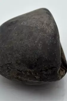 Nepal Gandaki River Original Shaligram Shila Idol Shri Vishnu For Tulsi Puja Stone Fossil In Size (Max: 7 CM) ID-242