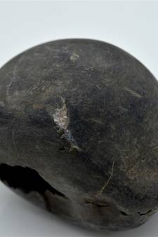 Nepal Gandaki River Original Shaligram Shila Idol Shri Vishnu For Tulsi Puja Stone Fossil In Size (Max: 7 CM) ID-244