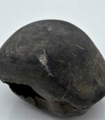 Nepal Gandaki River Original Shaligram Shila Idol Shri Vishnu For Tulsi Puja Stone Fossil In Size (Max: 7 CM) ID-244