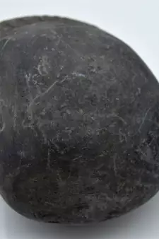 Nepal Gandaki River Original Shaligram Shila Idol Shri Vishnu For Tulsi Puja Stone Fossil In Size (Max: 7 CM) ID-245