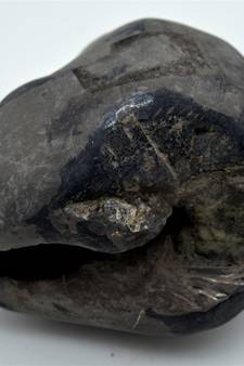Nepal Gandaki River Original Shaligram Shila Idol Shri Vishnu For Tulsi Puja Stone Fossil In Size (Max: 7 CM) ID-246