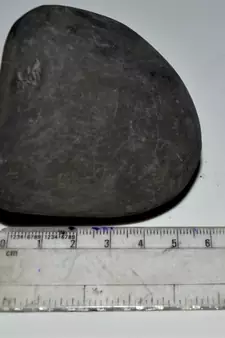 Nepal Gandaki River Original Shaligram Shila Idol Shri Vishnu For Tulsi Puja Stone Fossil In Size (Max: 7 CM) ID-246