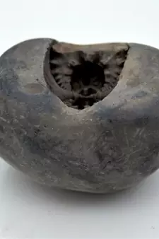 Nepal Gandaki River Original Shaligram Shila Idol Shri Vishnu For Tulsi Puja Stone Fossil In Size (Max: 7 CM) ID-247