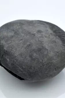 Nepal Gandaki River Original Shaligram Shila Idol Shri Vishnu For Tulsi Puja Stone Fossil In Size (Max: 7 CM) ID-249