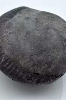 Nepal Gandaki River Original Shaligram Shila Idol Shri Vishnu For Tulsi Puja Stone Fossil In Size (Max: 7 CM) ID-249