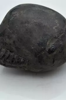 Nepal Gandaki River Original Shaligram Shila Idol Shri Vishnu For Tulsi Puja Stone Fossil In Size (Max: 7 CM) ID-250