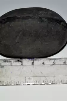 Nepal Gandaki River Original Shaligram Shila Idol Shri Vishnu For Tulsi Puja Stone Fossil In Size (Max: 7 CM) ID-251