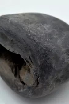 Nepal Gandaki River Original Shaligram Shila Idol Shri Vishnu For Tulsi Puja Stone Fossil In Size (Max: 7 CM) ID-253