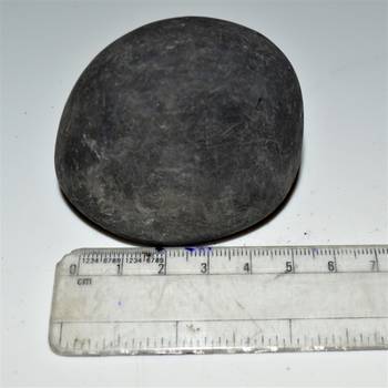 Nepal Gandaki River Original Shaligram Shila Idol Shri Vishnu For Tulsi Puja Stone Fossil In Size (Max: 7 CM) ID-253 4