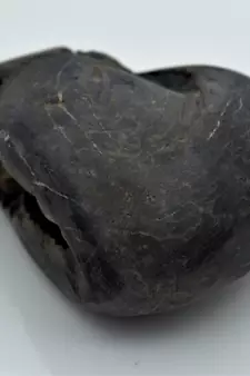 Nepal Gandaki River Original Shaligram Shila Idol Shri Vishnu For Tulsi Puja Stone Fossil In Size (Max: 7 CM) ID-254