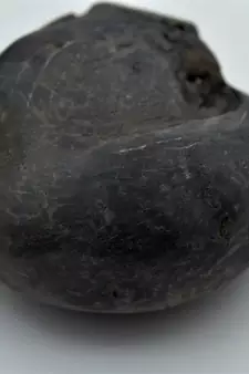 Nepal Gandaki River Original Shaligram Shila Idol Shri Vishnu For Tulsi Puja Stone Fossil In Size (Max: 7 CM) ID-254