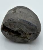 Nepal Gandaki River Original Shaligram Shila Idol Shri Vishnu For Tulsi Puja Stone Fossil In Size (Max: 7 CM) ID-256