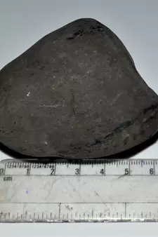 Nepal Gandaki River Original Shaligram Shila Idol Shri Vishnu For Tulsi Puja Stone Fossil In Size (Max: 7 CM) ID-256