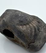 Nepal Gandaki River Original Shaligram Shila Idol Shri Vishnu For Tulsi Puja Stone Fossil In Size (Max: 7 CM) ID-258