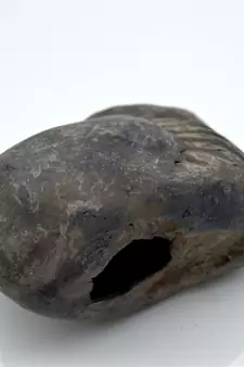 Nepal Gandaki River Original Shaligram Shila Idol Shri Vishnu For Tulsi Puja Stone Fossil In Size (Max: 7 CM) ID-258