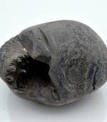 Nepal Gandaki River Original Shaligram Shila Idol Shri Vishnu For Tulsi Puja Stone Fossil In Size (Max: 7 CM) ID-259