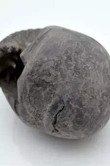 Nepal Gandaki River Original Shaligram Shila Idol Shri Vishnu For Tulsi Puja Stone Fossil In Size (Max: 7 CM) ID-259
