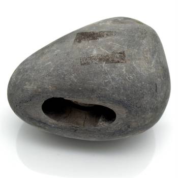 Nepal Gandaki River Original Shaligram Shila Idol Shri Vishnu For Tulsi Puja Stone Fossil In Size (Max: 7 CM) ID-260 1