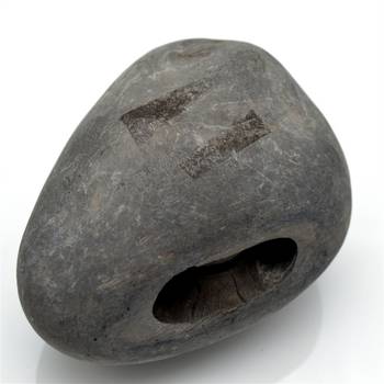 Nepal Gandaki River Original Shaligram Shila Idol Shri Vishnu For Tulsi Puja Stone Fossil In Size (Max: 7 CM) ID-260 2