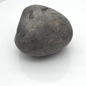 Nepal Gandaki River Original Shaligram Shila Idol Shri Vishnu For Tulsi Puja Stone Fossil In Size (Max: 7 CM) ID-260 3