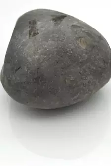 Nepal Gandaki River Original Shaligram Shila Idol Shri Vishnu For Tulsi Puja Stone Fossil In Size (Max: 7 CM) ID-260