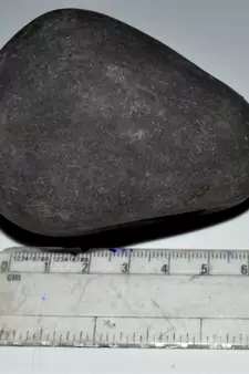 Nepal Gandaki River Original Shaligram Shila Idol Shri Vishnu For Tulsi Puja Stone Fossil In Size (Max: 7 CM) ID-260