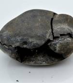 Nepal Gandaki River Original Shaligram Shila Idol Shri Vishnu For Tulsi Puja Stone Fossil In Size (Max: 7 CM) ID-262