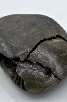 Nepal Gandaki River Original Shaligram Shila Idol Shri Vishnu For Tulsi Puja Stone Fossil In Size (Max: 7 CM) ID-262
