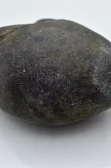 Nepal Gandaki River Original Shaligram Shila Idol Shri Vishnu For Tulsi Puja Stone Fossil In Size (Max: 7 CM) ID-262