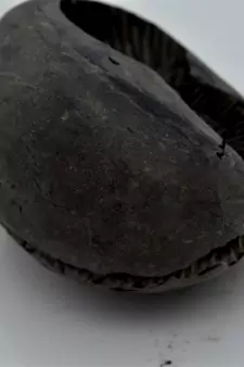 Nepal Gandaki River Original Shaligram Shila Idol Shri Vishnu For Tulsi Puja Stone Fossil In Size (Max: 7 CM) ID-265