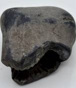 Nepal Gandaki River Original Shaligram Shila Idol Shri Vishnu For Tulsi Puja Stone Fossil In Size (Max: 7 CM) ID-266